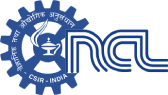 ncl_corporate